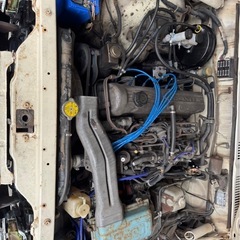 グロリア の画像