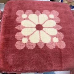 バランスボールの画像