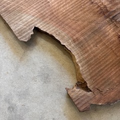 欅の一枚板　薄板　no.5の画像