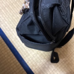 mozのリュックの画像