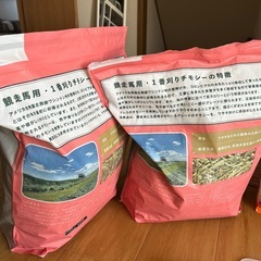 うさぎさんセットの画像