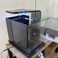 観賞用　水槽の画像