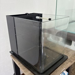 観賞用　水槽の画像