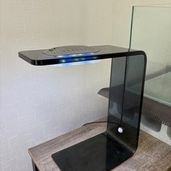 観賞用　水槽の画像