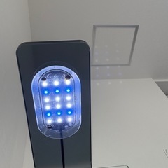 観賞用　水槽の画像