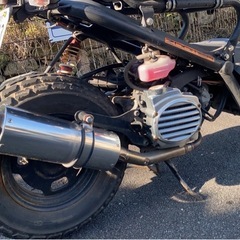 稀少車！絶版車！ ホンダ ズーマー　実働車の画像