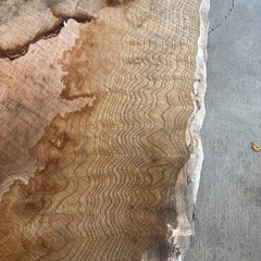 欅の一枚板　薄板　No.6の画像