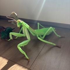 【おまけ付き】恐竜たちとカマキリの画像