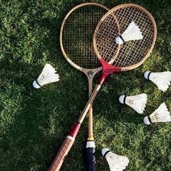 🏸バドミン豚(トン)🐷