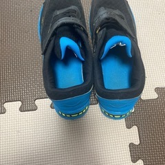 スニーカー瞬足22.5の画像