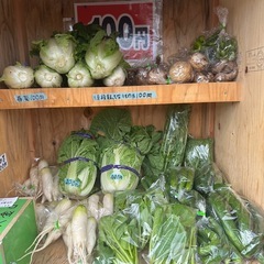 今日は白菜の特売日100円からあります。大根はなくなる次第しばらく終了です。他の野菜もあります。の画像