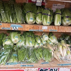 今日は白菜の特売日100円からあります。大根はなくなる次第しばらく終了です。他の野菜もあります。の画像