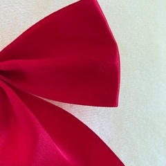 BIGぬいぐるみ/ポムポムプリンの画像