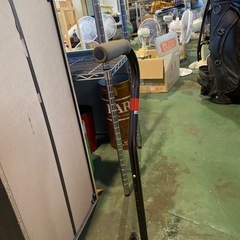 杖　ステッキの画像