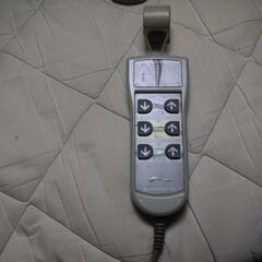 パラマウント　介護ベッドの画像