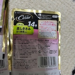 老犬用ウェットフードの画像