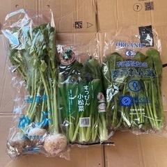 野菜9種類の画像