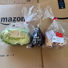 野菜9種類の画像