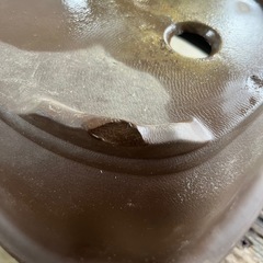 盆栽鉢セットの画像