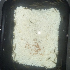 ミナミヌマエビの画像