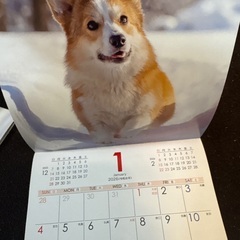 2026年　犬のミニカレンダーの画像