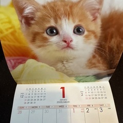 2026年　ミニカレンダー　猫の画像