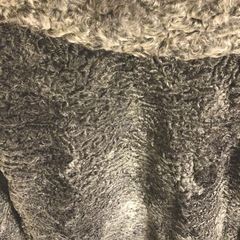 カラクル/ペルシャアストラハン毛皮コート（新品）の画像