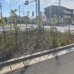 【11月12日急募】浜松市南区にて草刈り手元作業の画像