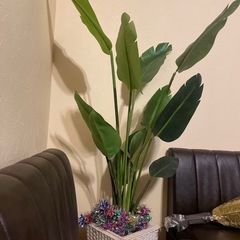 造花観葉植物の画像