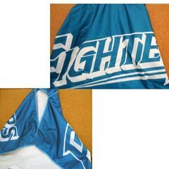 北海道 日本ハム ファイターズ　ブランケット・着る毛布（ポンチョ） 5点セット 旧ロゴデザイン 公式グッズ 観戦 応援 プロ野球　防寒　☆ PayPay(ペイペイ)決済可能 ☆ 札幌市 豊平区 平岸 平岸店の画像