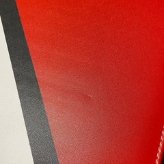 ポケモンカード ポケカ ファイル バインダー 収納 ホルダー ケース コレクション 9ポケット 50枚 赤 レッド モンスターボールの画像