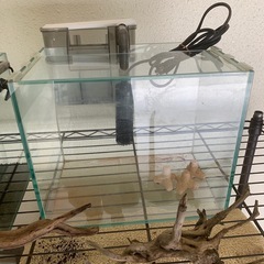 水槽2個セットの画像