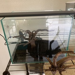 水槽2個セットの画像