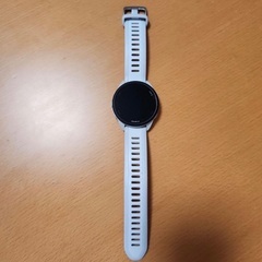 GARMIN Forrunner 165の画像