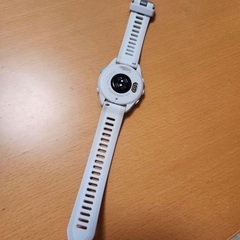 GARMIN Forrunner 165の画像