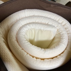 ほぼ未使用品　MyeFoam マットレス 高反発 シングル 敷布団の画像