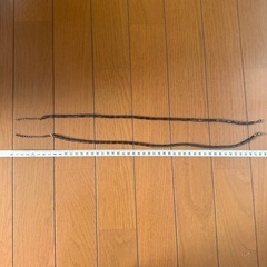 磁気ネックレス の画像