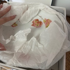 【中古品】大皿と小皿セットの画像