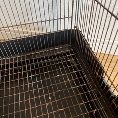 イージーホーム37 小動物の画像