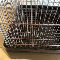 イージーホーム37 小動物の画像