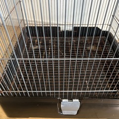 イージーホーム37 小動物の画像