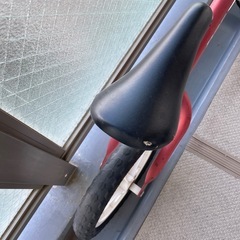 Radioflyer ストライダーの画像