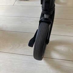 ピジョン　ランフィリノンの画像