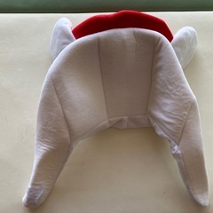 子どもから大人も使える帽子、パウ・パトロール（PAW Patrol）の画像