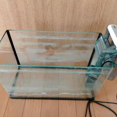 水槽+フィルターセットの画像