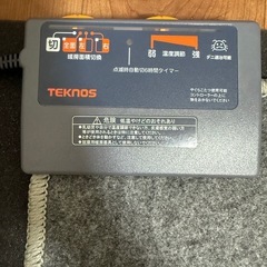 ホットカーペット 2畳 本体 TEKNOS  176×176cm 電気カーペットの画像