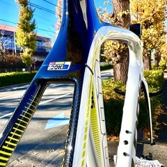 値下げコメント下さい。 LOOK 695 エアロライト Mサイズ フレーム セットの画像