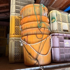 収穫用キャリーの画像