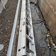 長梯子本日のみ出品限定11月10日の画像