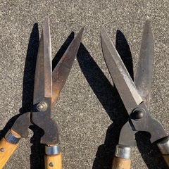 刈り込み鋏の画像